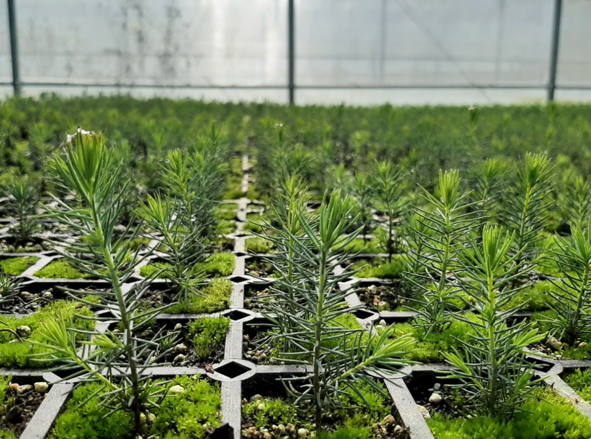 Фото предоставлено ДИП